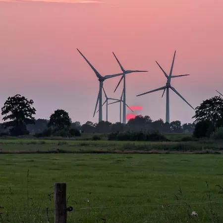 Traumkrone - Wiesengruen