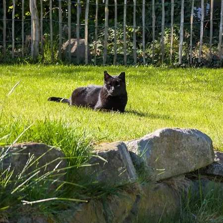 Appartement Traumkrone - Wiesengruen Schortens