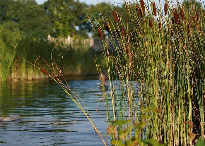 Traumkrone - Wiesengrün Apartamento