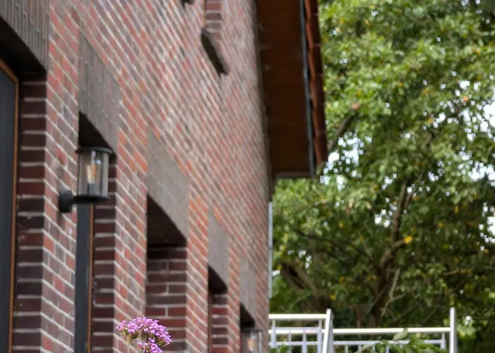 Traumkrone - Wiesengrün Schortens