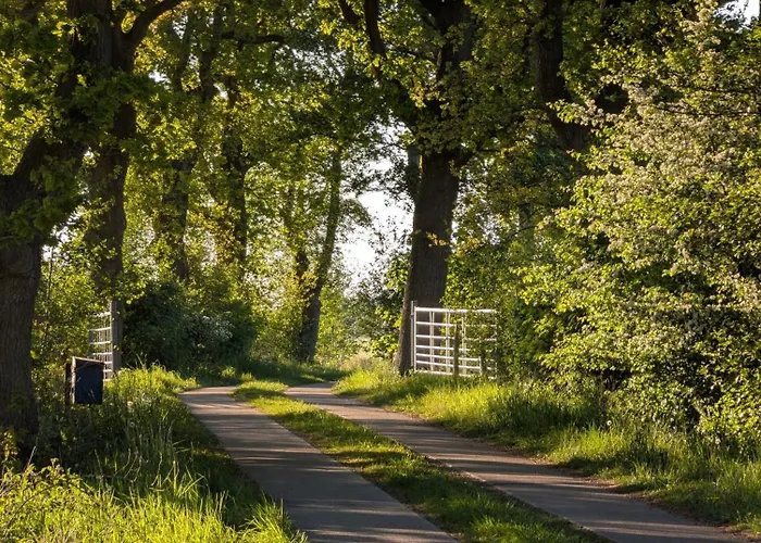 Traumkrone - Wiesengrün Apartamento Schortens