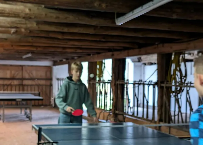 Apartamento Traumkrone - Wiesengrün *