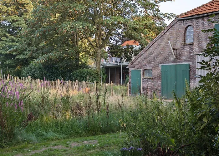 Apartamento Traumkrone - Wiesengrün